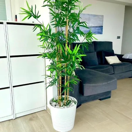 Apartamento San Gerardo By Solymar Holiday Torre Del Mar Exterior photo